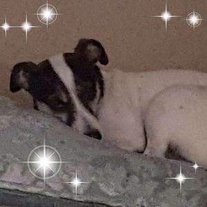 Meet your Posher, Linda